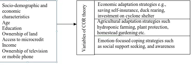 Figure 2. Conceptual framework of the study (self-designed). 