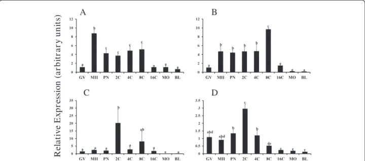 Figure 3A). For SMAD5, mRNA was further increased