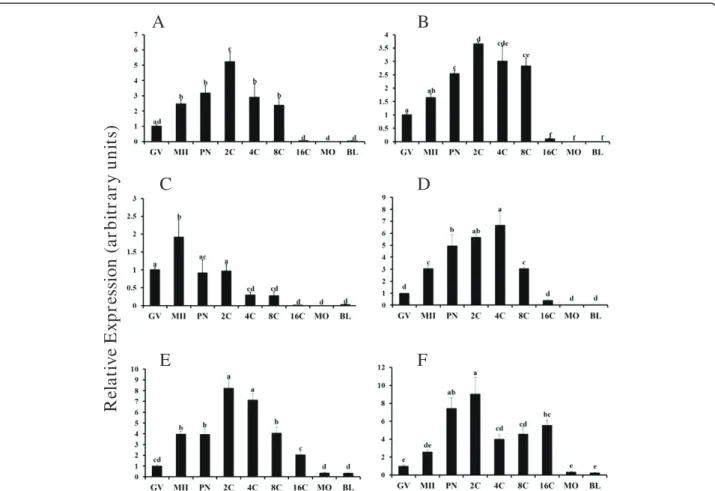 Figure 2 Temporal changes in ALK3 (A), ALK6 (B), ALK2 (C) BMPR2 (D), ACVR2B (E) and ACVR2A (F) mRNA abundance during oocyte maturation and early embryogenesis in vitro