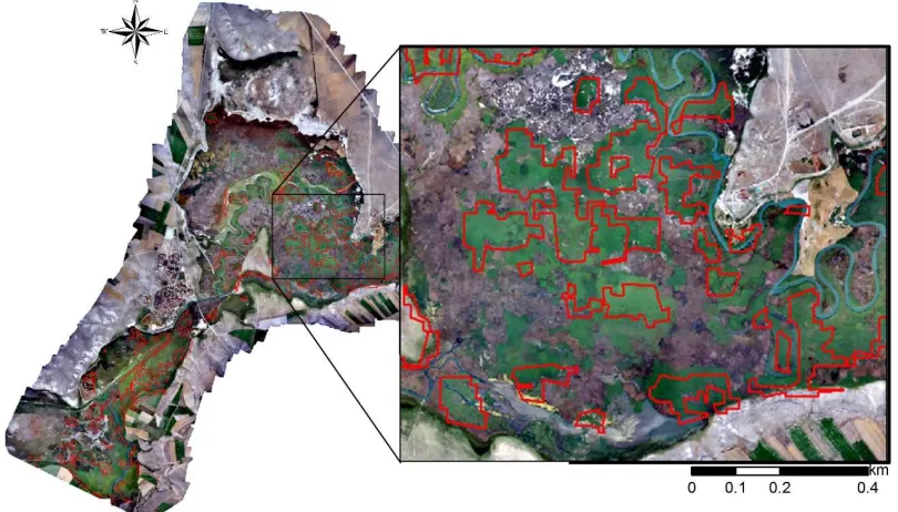 Figure 6. Dense vegetation class compared with UAV data.   