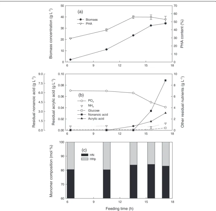 Figure 1 Cultivation of P. putida KT2440 by feeding nonanoic acid, glucose and acrylic acid at a mass ratio of 1.25: 1: 0.01 and a specific growth rate of 0.25 h -1 in fed-batch fermentation at 28.5 ± 1°C, pH 6.85 ± 0.05, DO > 30%