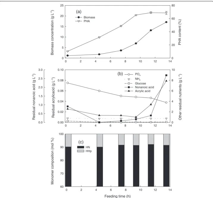 Figure 2 Cultivation of P. putida KT2440 by feeding nonanoic acid, glucose and acrylic acid at a mass ratio of 1.25: 1: 0.05 and a specific growth rate of 0.25 h -1 in fed-batch fermentation at 28.5 ± 1°C, pH 6.85 ± 0.05, DO > 30%