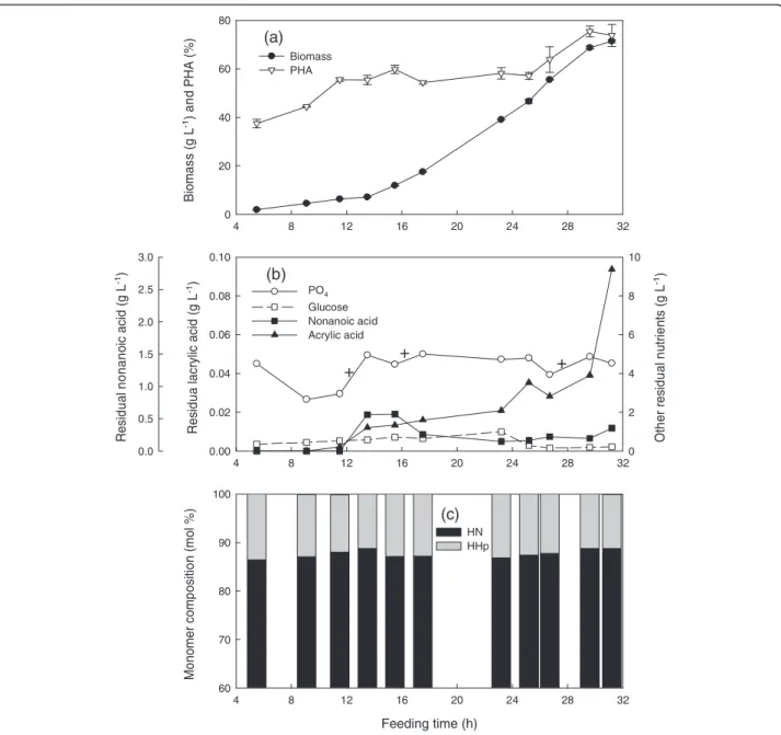 Figure 3 Cultivation of P. putida KT2440 by feeding nonanoic acid, glucose and acrylic acid at a mass ratio of 1.25: 1: 0.05 and a specific growth rate of 0.15 h -1 in fed-batch fermentation at 28.5 ± 1°C, pH 6.85 ± 0.05, DO > 30%
