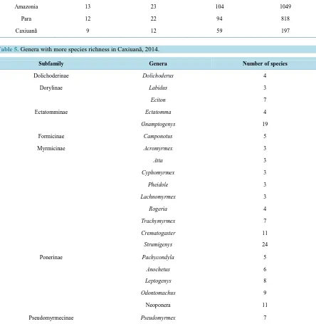 Table 4. Ant richness comparison among areas (World, Neotropical region, Brazil, Amazônia) per taxonomic categories
