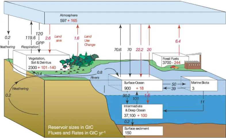 Figure 2.1: Box diagram of Earth’s carbon cycle (Barker et al, 2007 Figure 7.3). Stocks (reservoirs) areshown as rectangular blocks; ﬂows (ﬂuxes) are indicated by arrows
