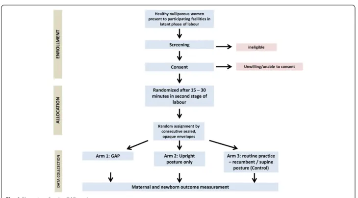 Fig. 1 Flow chart for the GAP study