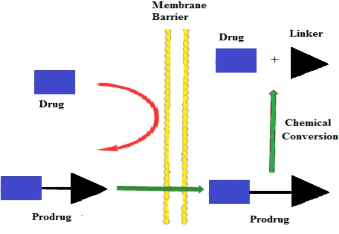 Figure 1. Schematic representation of the prodrug chemical approach. 