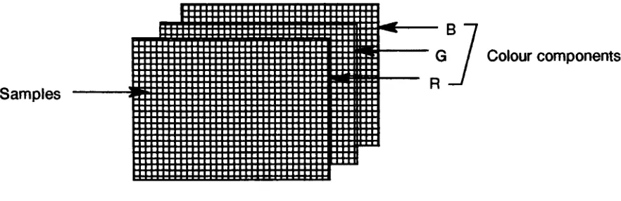 Figure 1: Source image 
