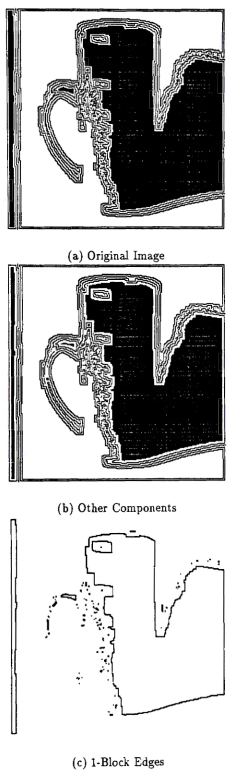 Figure 1: Identifying 1-Block Edge Components from a Binary Image (a)-(c). 