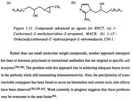 Figure 1.11. Compounds advanced as agents for BNCT. (a) 1- 