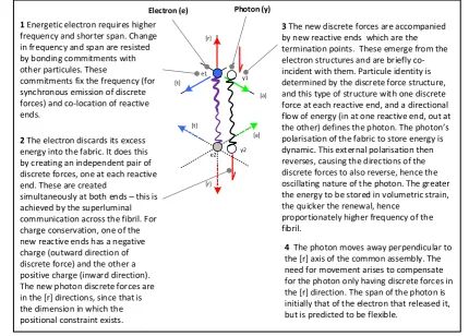 Figure 3. Proposed process of photon emission from an electron. Shown here is only one stage in the larger process, where the photon structures (reactive ends and discrete forces) start to emerge from the electron struc-tures