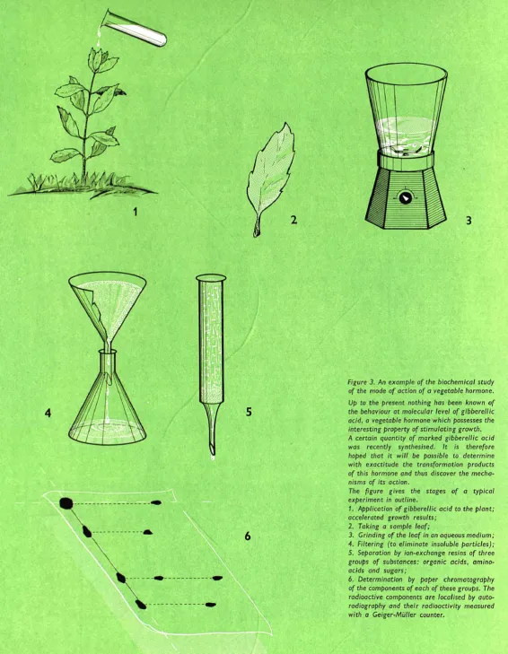 Figure 3, An example of the biochemical 