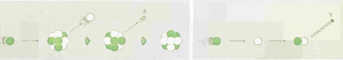 Figure 6: Interaction of a slow neutron with the nucleus of an element. Two examples are given of the Interaction of a slow neutron with a nucleus