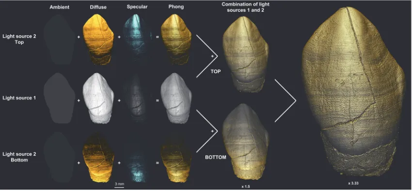 Fig 1. 3D Phong rendering and colored light system. Principle of the 3D Phong rendering illustrated with the URC of MLD11-30