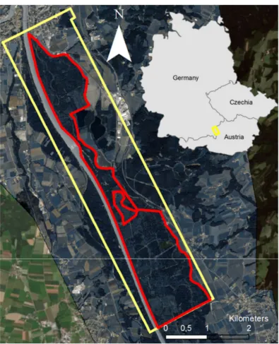 Figure 1. Salzach floodplain, located at the border of Germany and Austria. The yellow polygon indicated the airborne APEX hyperspectral imagery and the red polygon indicates the study area