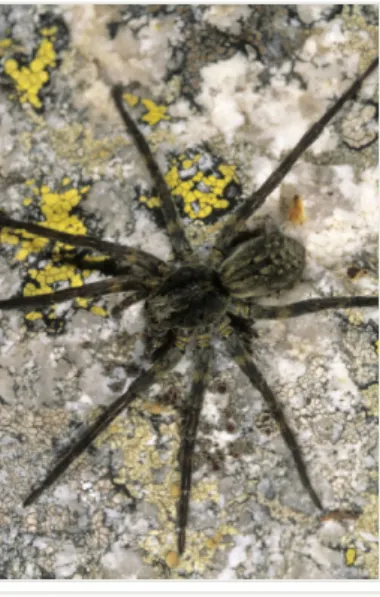 Fig. 3 Figure 1. 