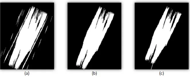 Figure 12. Morphological operations based knowledge analysis: (a) dilated image, (b) road surfacecells removed and (c) eroded image.