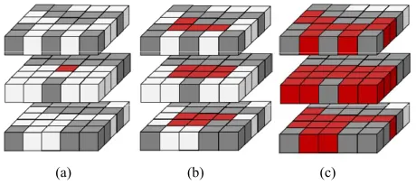 Figure 3. Illustration of the region growing method: a) voxel determination (seed in red color), b) first iteration analyzing neighborhood of the seed voxel, and c) result of the segmenta- tion