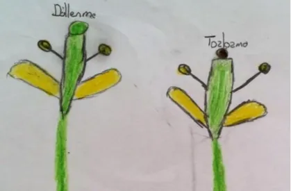 Figure 3. Ahmet’s 1st annotated student drawing 