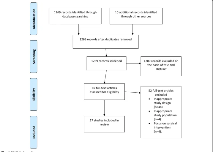 Fig. 1 PRISMA flow diagram
