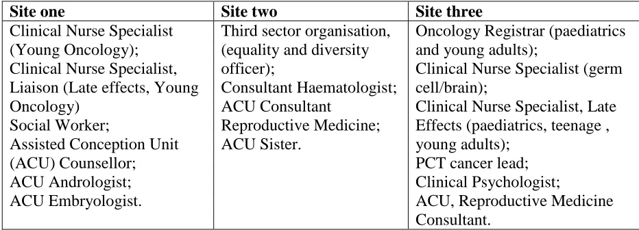 Table 1: Breakdown of professionals taking part in the three focus groups (n= 17) 