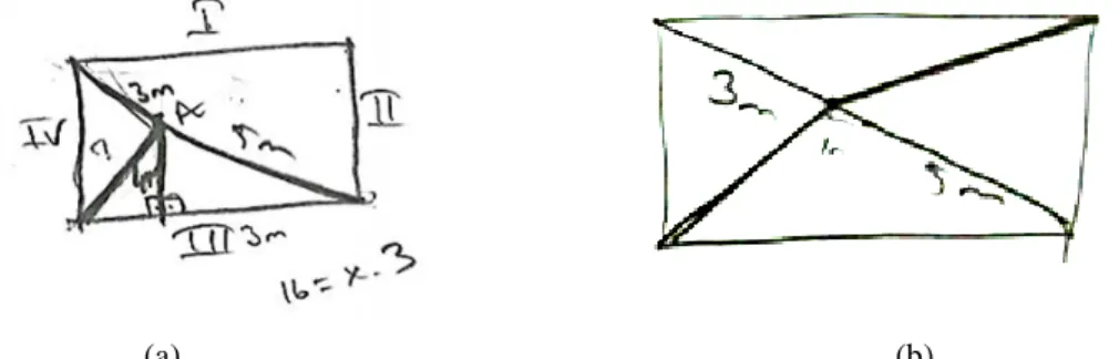 Figure 7. (a) Pictorial representation in which Efe placed the point inside of the garden