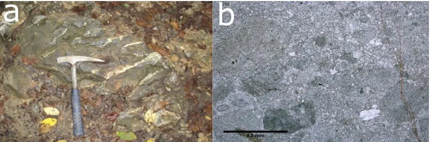 Figure 2.3: a – left Outcrop with light grey dolomite in Medvednica Mt. (Ivanec Quarry); b - right Microphotograph of brecciated light grey dolomite (The width of the microphotograph is 1.7 mm)
