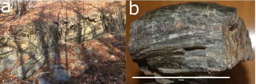 Figure 2.4: a - left Outcrop with the greenschists in the Medvednica Mt.; b - right Hand sample of the greenschists from the Medvednica Mt