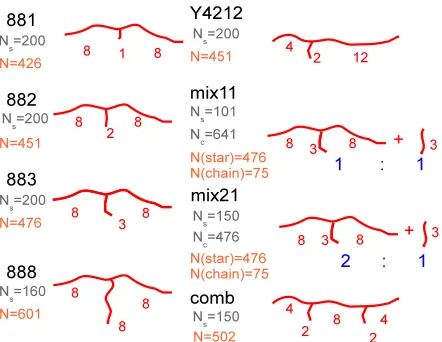 Figure 1: Schematic representation of the simulated systems. The numbers at each arm denote thenumber of entanglements in the arm, by using the nominal value of Ne = 25 beads per entanglementsegment (see above)