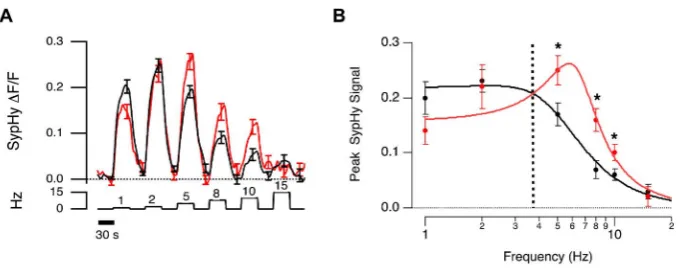 Figure 8. Frequency tuning of BCs with different terminal size. (A) Mean sypHy fluorescence signals in OFF terminals in response to full-fieldstimuli of different temporal frequencies measured in vivo (red, rsmall,1 mm, n = 10; black, rlarge.1.5 mm, n = 32