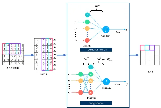 Fig. 7. Convolution layer using Gang neuron or traditional neuron. 