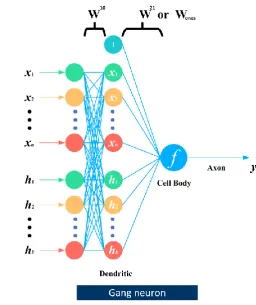 Fig. 8. Schematic diagram of RNN using Gang neuron 