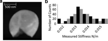 FIGURE 3(wall sacculi. Z scale represents 0–52 nm. (b) Histogram comparing mea-surements taken on these extracted cell walls (taken on live cells (a) AFM contact-mode topographic image of extracted cellblack) with measurementsgray).