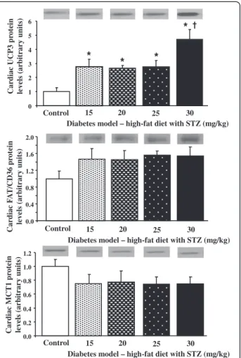 Figure 6 Glycolytic rates in isolated perfused hearts from control and 15 mg/kg STZ in combination with high-fat fed diabetic rats