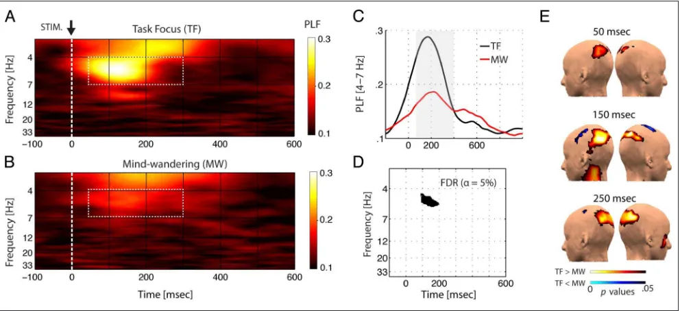 Figure 2. P1 ERPs. In linewith previous studies (Kamet al., 2011), mind-wanderingsignificantly attenuatedthe amplitude of the P1(F(1, 15) = 9.73, p < .01).(A) Repeated-measuresANOVA (factors task focusand electrode location) ofP1 peak deflections overparie