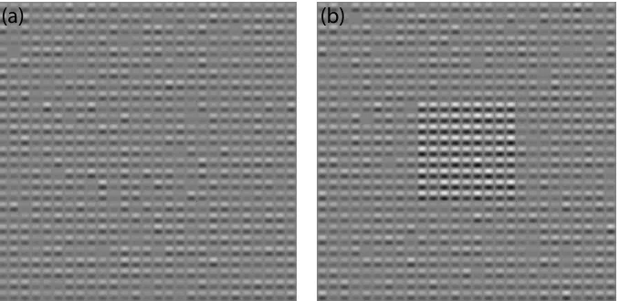Figure 1: Example stimulus for null (a) and target (b) intervals of a contrast increment detection task