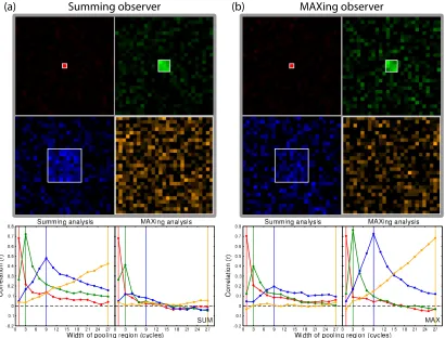 Figure 2: Data from two model observers, who either summed (a) or MAXed (b) over the target region