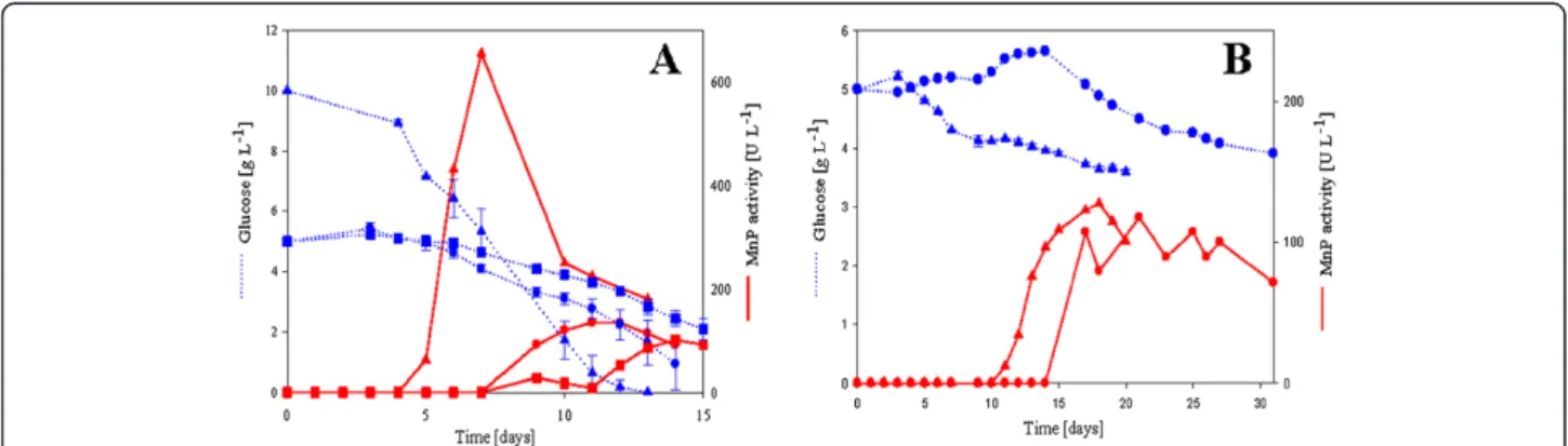 Figure 1 Glucose consumption (dotted line) and MnP activity (solid line) by white-rot fungi during 300 mL batch cultivations