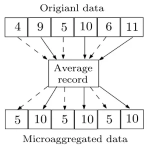 Table 2: A raw microdata