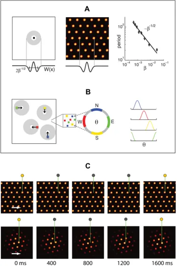 Figure 1. Network architecture and response. (A) Pattern formation in the neural population: Left, schematic depiction of the outgoing weightstriangular lattice population pattern in the neural sheet through spontaneous destabilization of the uniform mode 