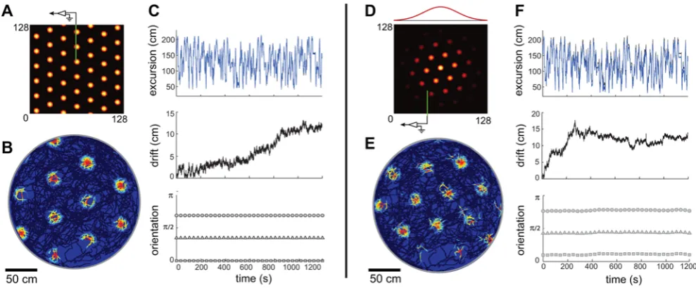 Figure 2. Periodic and aperiodic networks are capable of accurate path integration. Simulation of network response, with velocity inputscorresponding to a rat’s recorded trajectory in a 2 m circular enclosure [50]