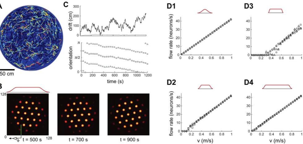 Figure 3. Boundary conditions and network size strongly affect fidelity of network response
