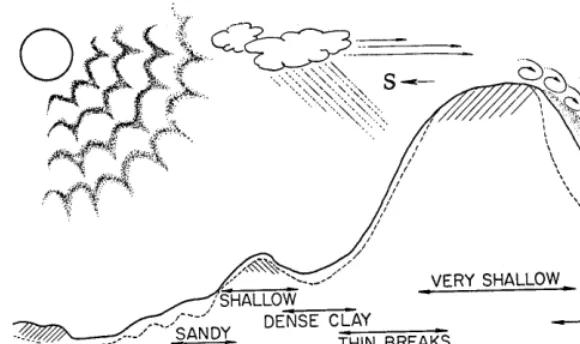 FIG. 1. A diagrammatic representation of the foothill range site complex showing variations in parent materials, soil factors