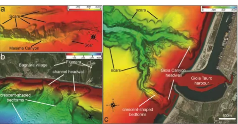 Fig. 3 a) 3-D view of the coalescent landslide scars affecting the outer flanks of the Mesima Canyon  