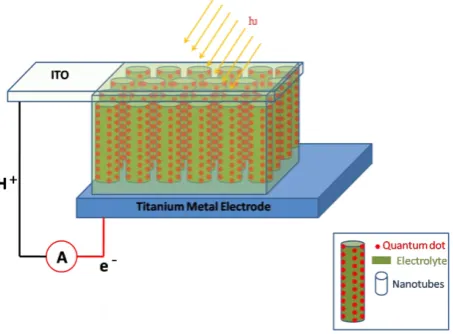 Figure 1. QDSSC assembly.  