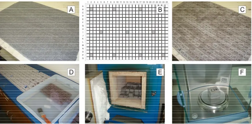 Figure 3. The control plate (A) was mapped (B) and subdivided into 425 specimens of 3 × 3 × 2 cm3 (C)