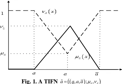 Fig. 1. A TIFN 