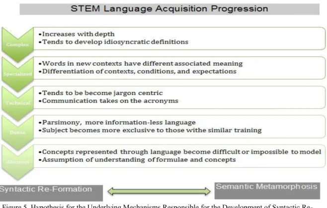 Figure 5. Hypothesis for the Underlying Mechanisms Responsible for the Development of Syntactic Re- Re-Formation and Semantic Metamorphosis 