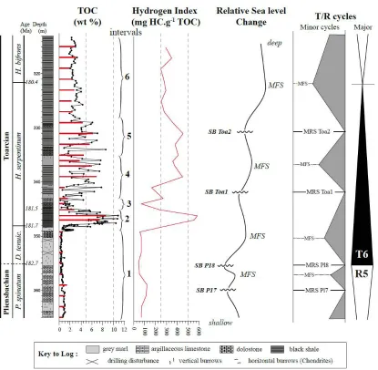 Figure 4. Vertical distribution of TOC and HI of the Lower-Middle Toarcian interval in the Couy-Sancerre core