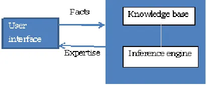 Figure 1 shows three basic building blocks that constitute a functioning ES (Sasikumar et al., 2007, p